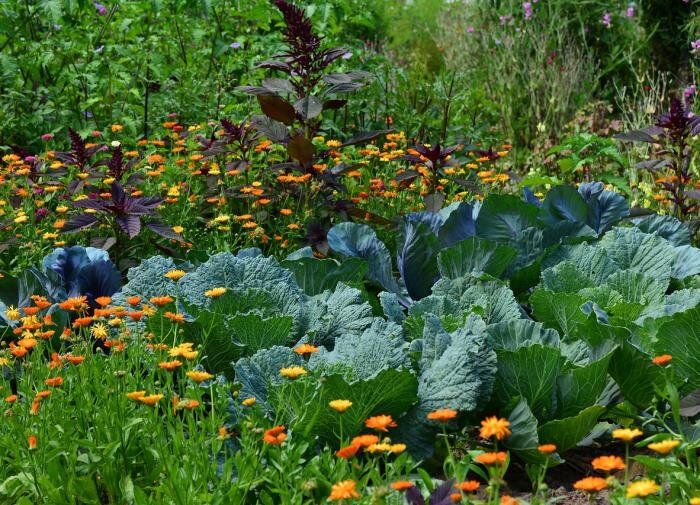 ��� ��������� ������������� ������� ��� �������� ������