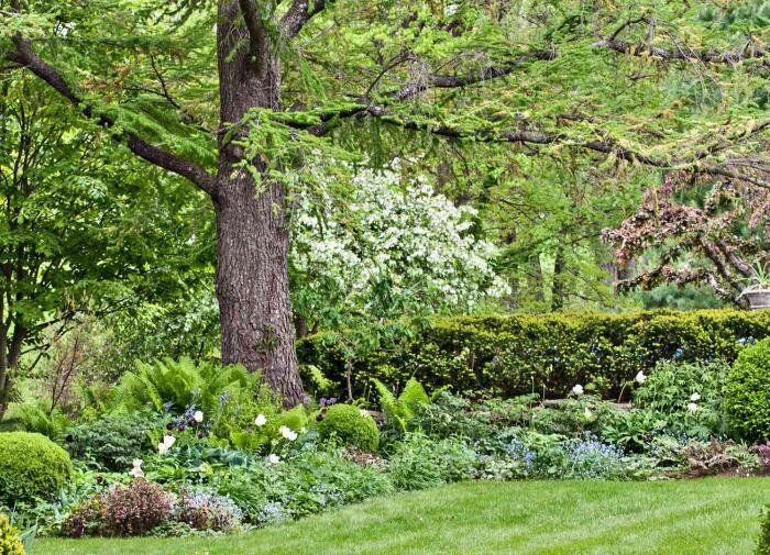 ��� ��������� ������ �������� ����� � ��������� � ����