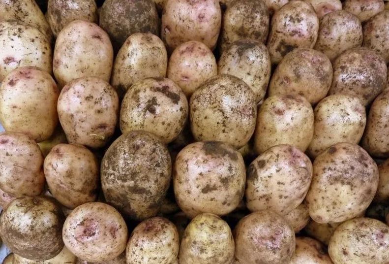 ����������: ���������� ��������� � ���������� ������ � ������� ������