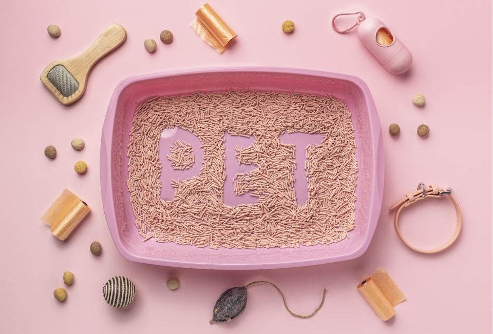 Как правильно ухаживать за кошачьим лотком: советы для заботливых хозяев