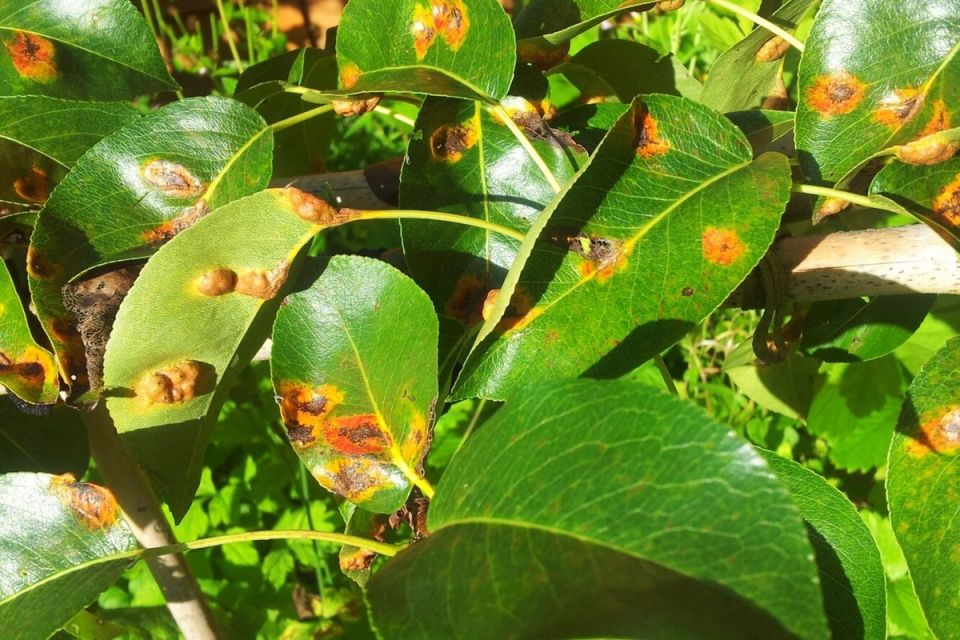 ��� ���������� � ��������� �����: ������ �� ������ � ��������