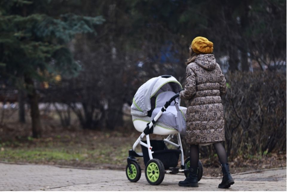 ������ ����������� �������: ������ ��������� � 2026 ����