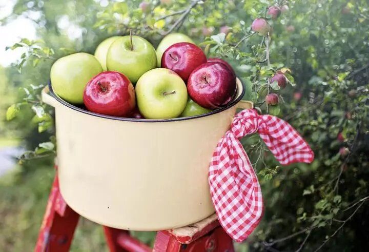 ������ � ���� � ������� � 16 �� 22 �������