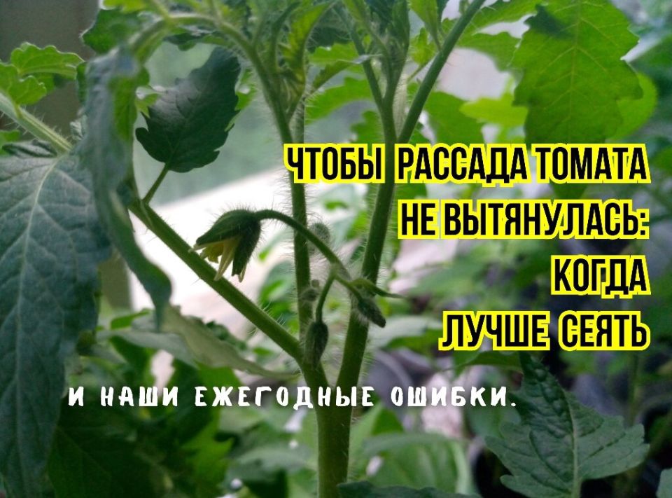 ����� ������ � ������ ������ �������: ��� �������� ������� � ���������