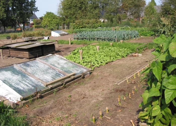 ��� ���������� ������ ���� ��������� ��������� ������