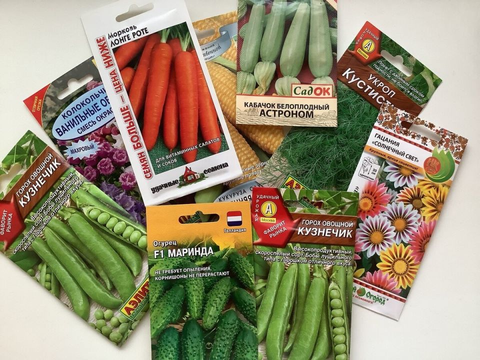 ��� ������� � ����� ������ ������ � ������� ����