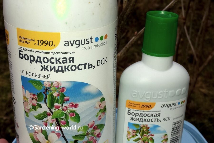 ����� ��������� ����: ��� ����������� ��������� �������� � ������� �� �������������